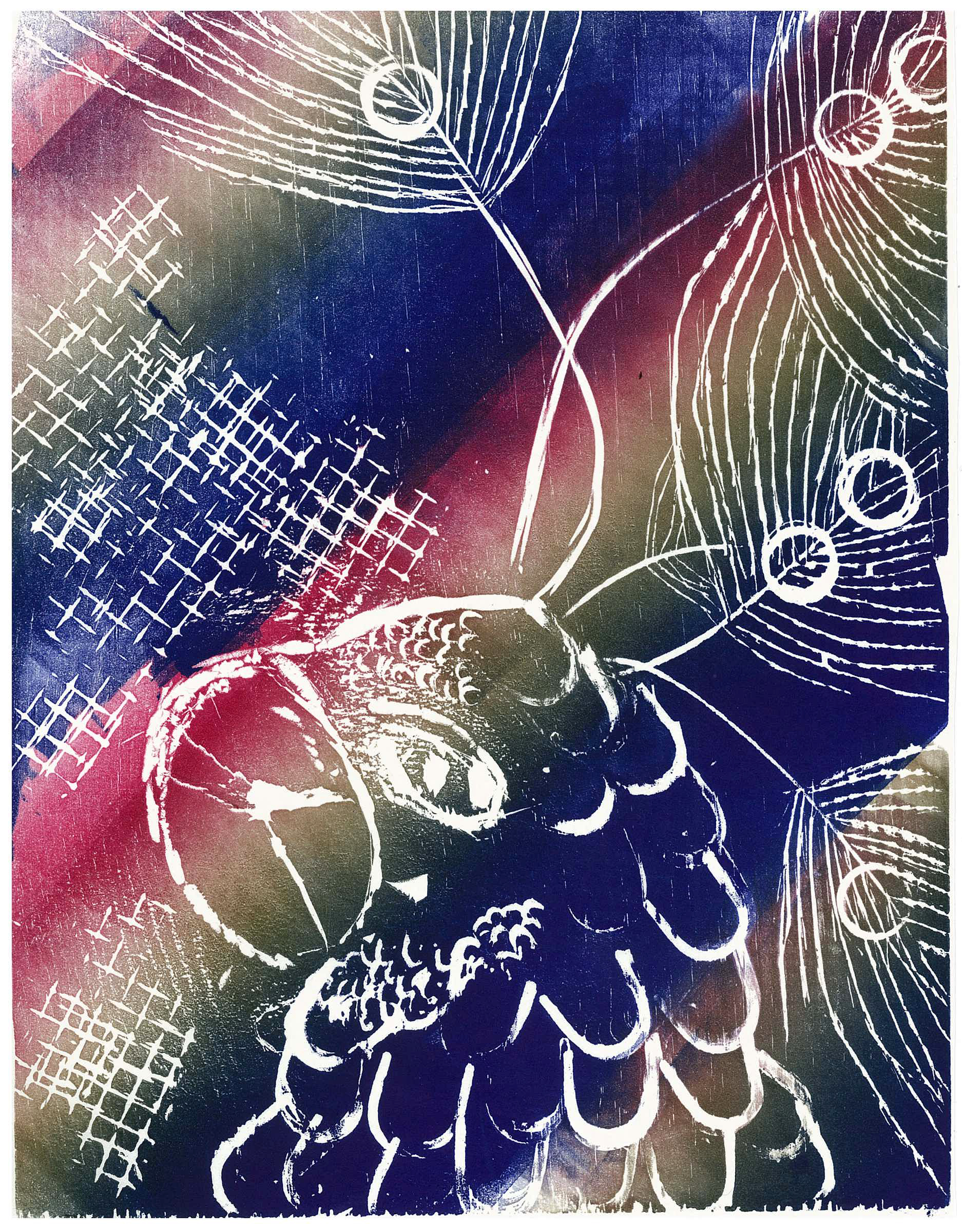 parrot